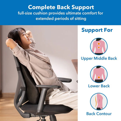 Ergo Collection Full-Back Suite | Total Spinal Support System
