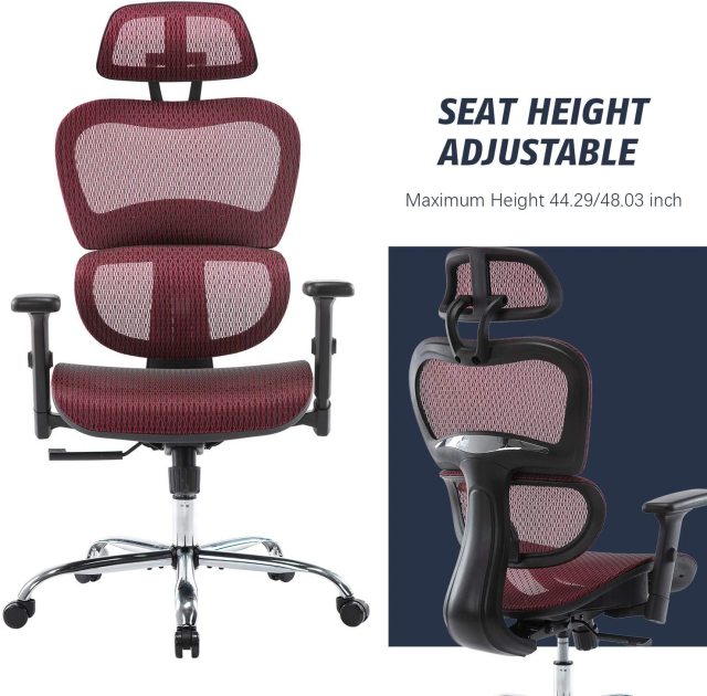 Finest Dynamics Ergonomics Office Chair with Headrest and Armrests